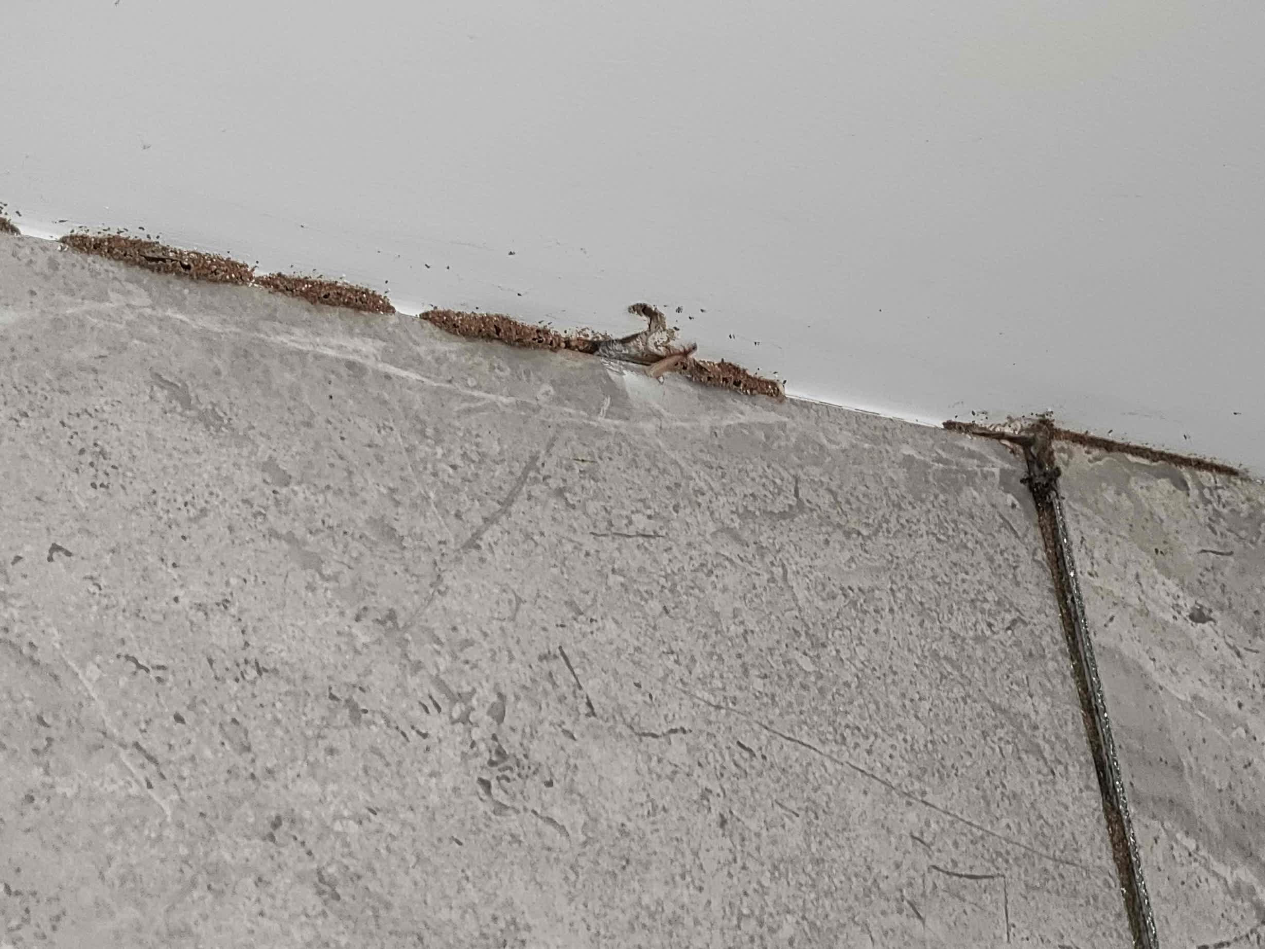 091527103.jpg 091527103.jpg